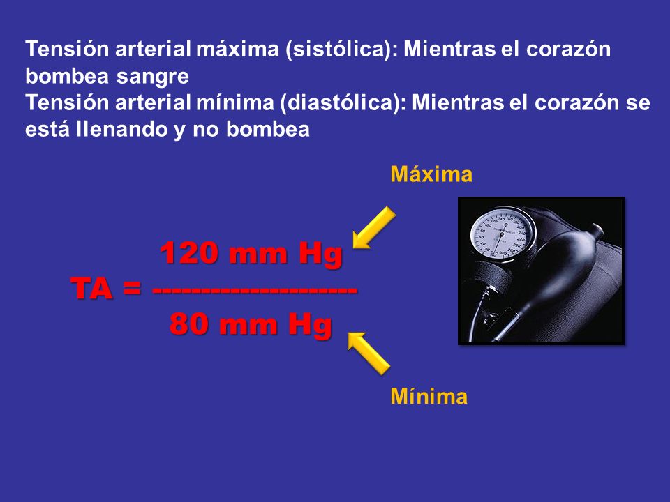 Presión arterial mínima y máxima